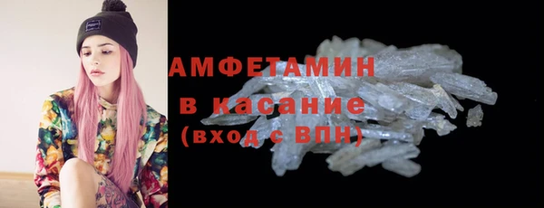 гидра Абаза