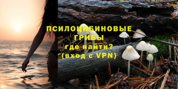гидра Абаза